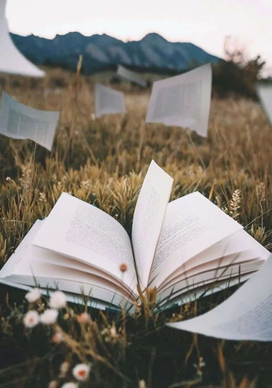 Open book in a field with pages floating in the wind